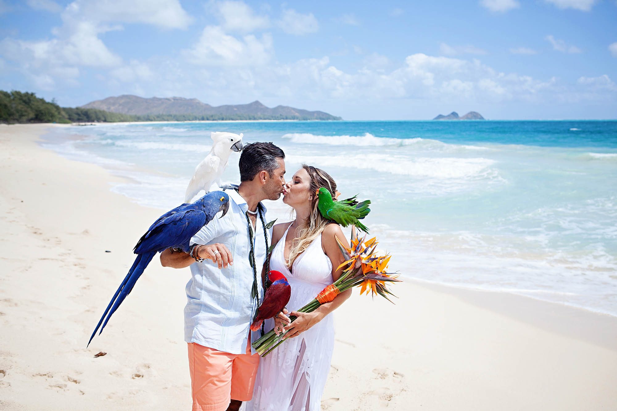 Honolulu wedding photography https://www.islanderweddings.com/