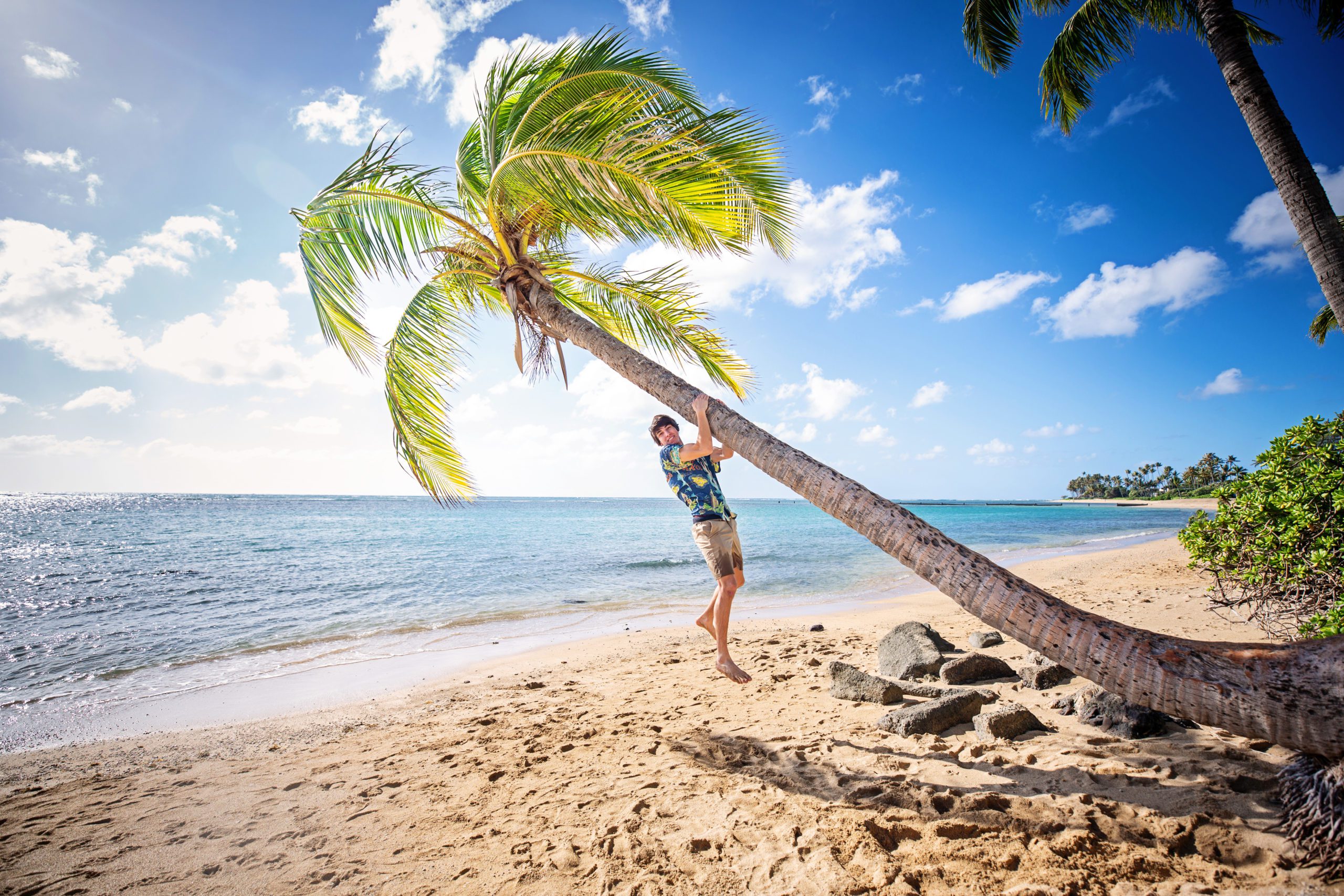 senior boy hanging from a palm tree