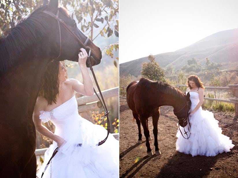 Don't Trash the Dress portrait of bride and her horse